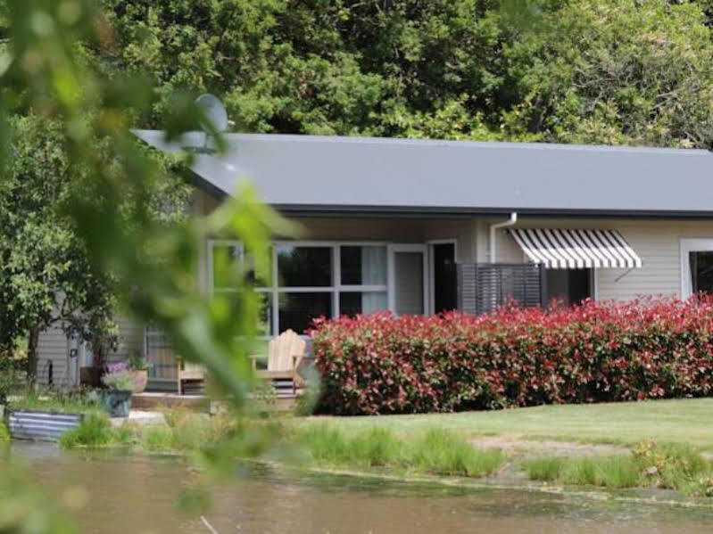 Revive On Oakview Boutique Beauty And Accommodation Ashburton Buitenkant foto